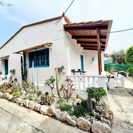 Cactus Living Apartment Ialysos  Exterior photo