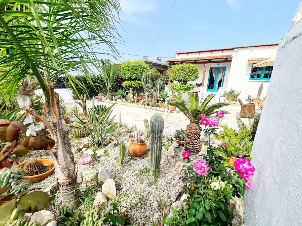 Cactus Living Apartment
