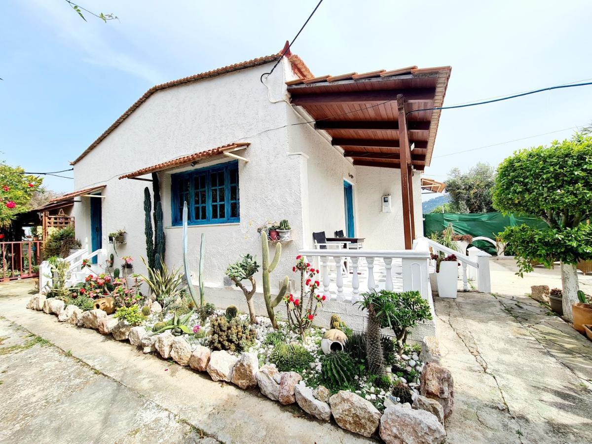 Διαμέρισμα Cactus Living Ιαλυσός Ρόδος