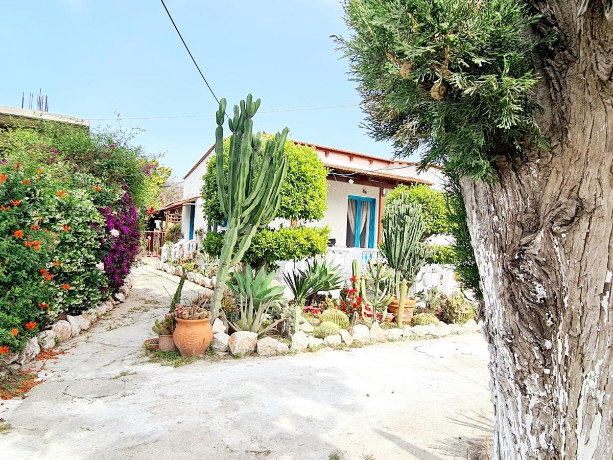 Διαμέρισμα Cactus Living *