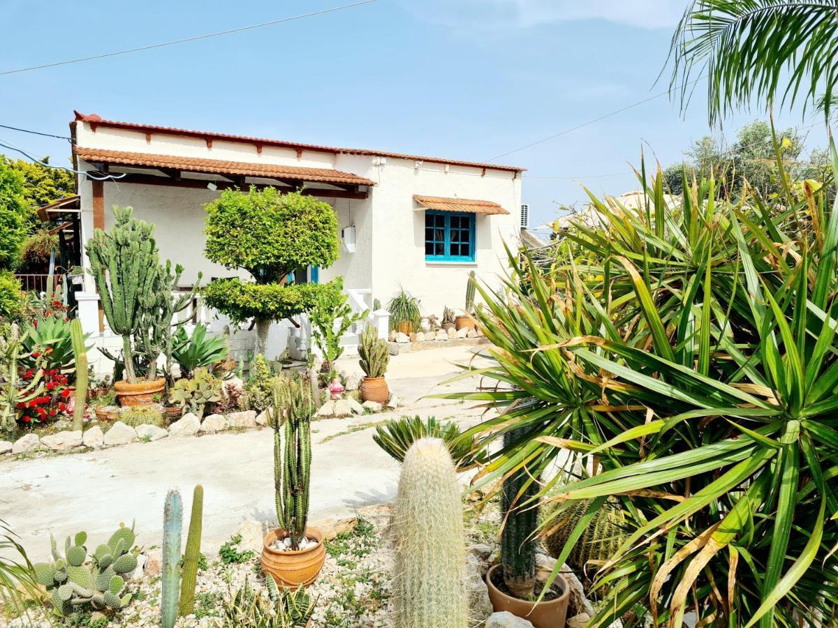 Cactus Living Apartment