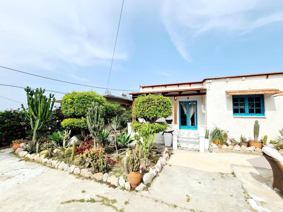 Cactus Living Διαμέρισμα Ιαλυσός Ρόδος