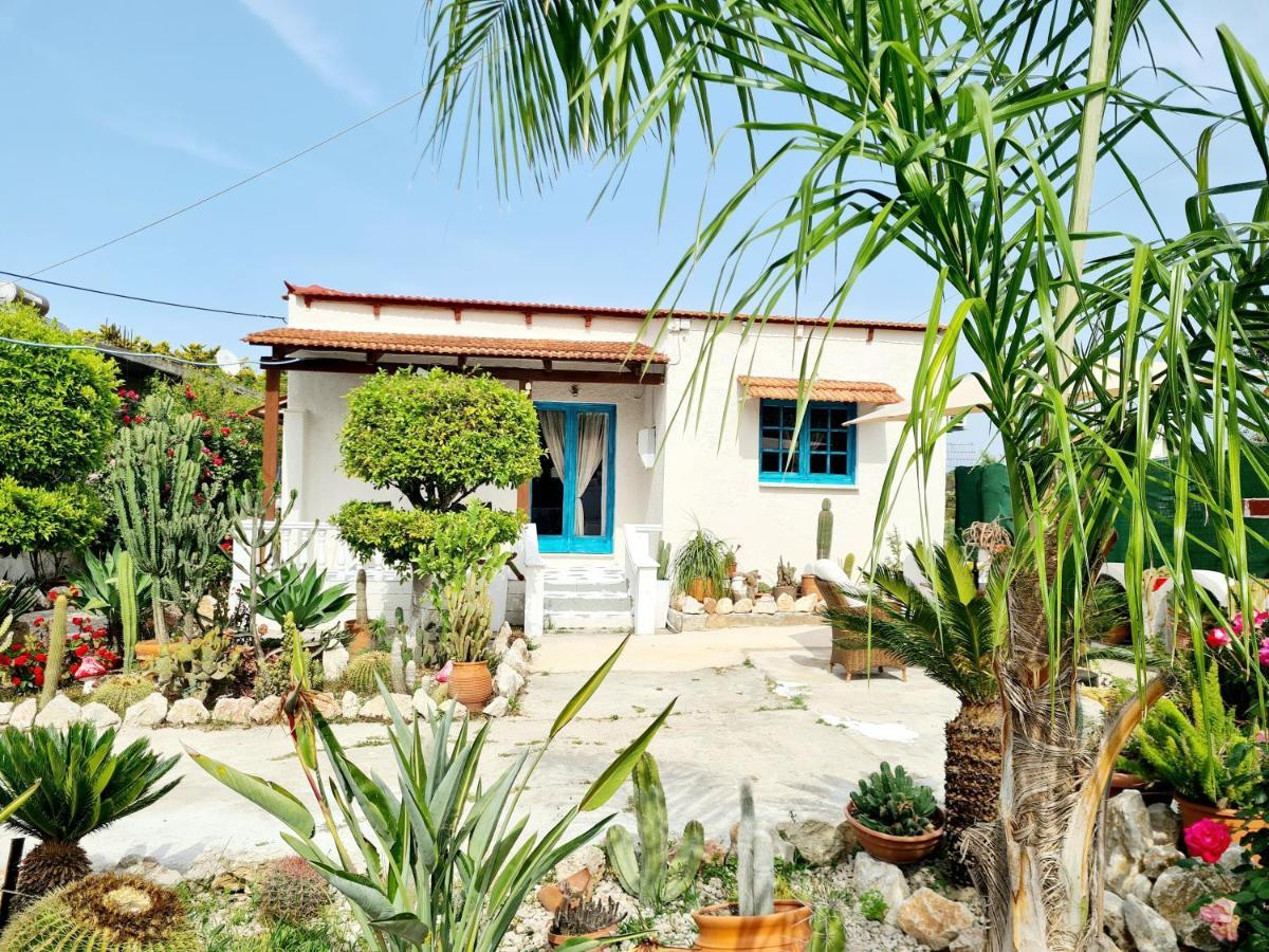 Cactus Living Ialysos (Rhodes)