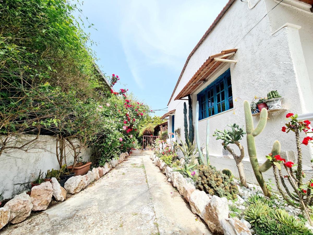 Cactus Living Διαμέρισμα *