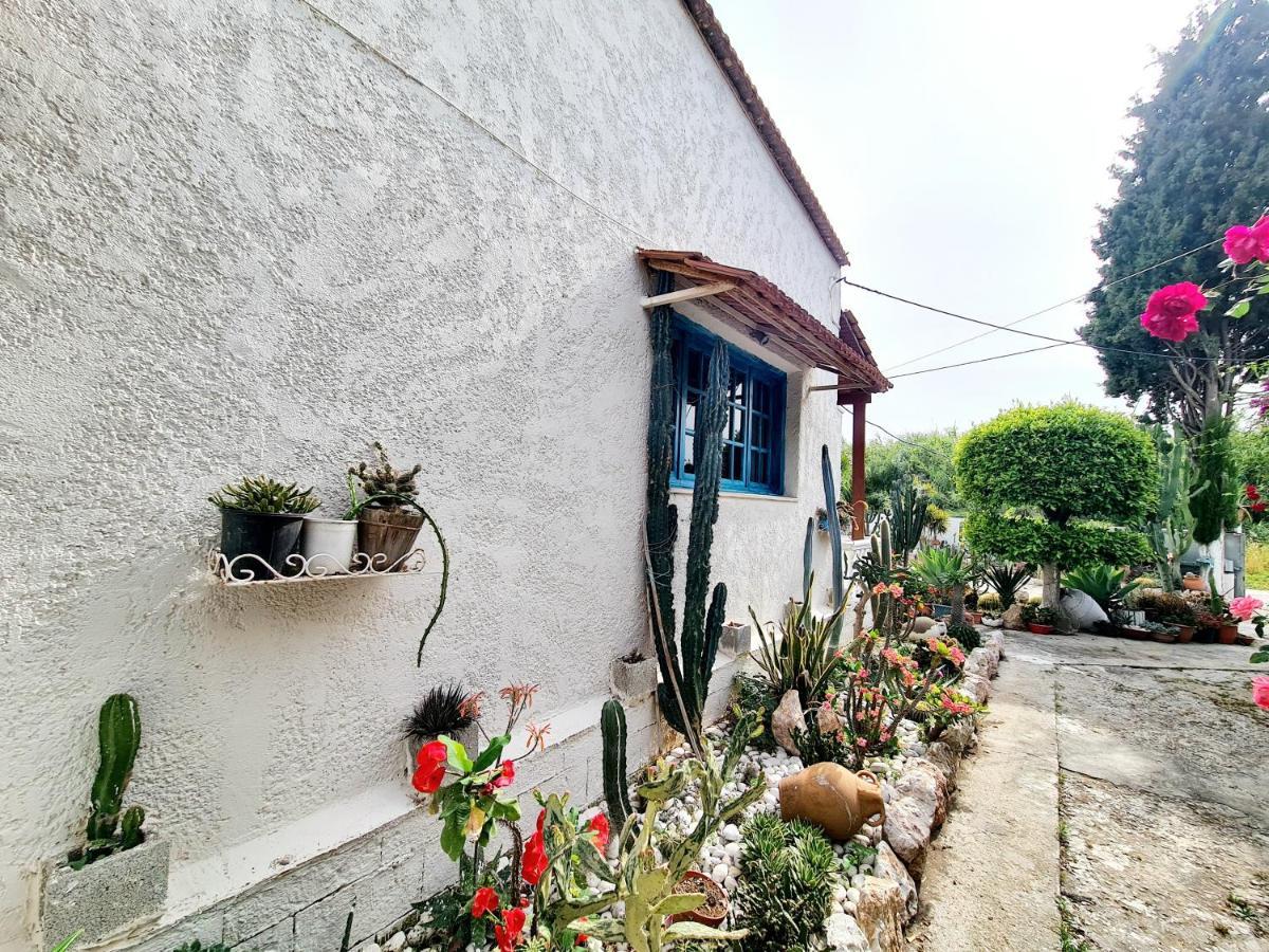 Cactus Living Apartment Ialysos (Rhodes)