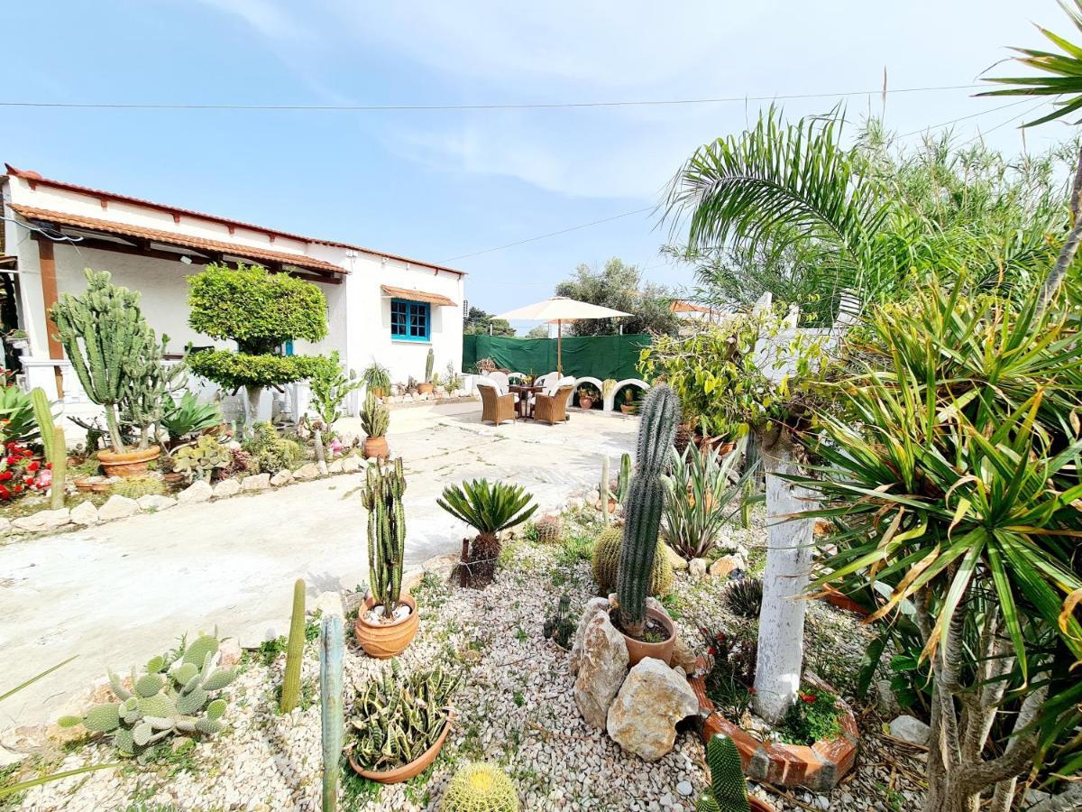 Apartment Cactus Living Ialysos (Rhodes)