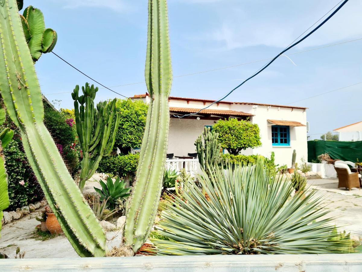 Apartment Cactus Living *