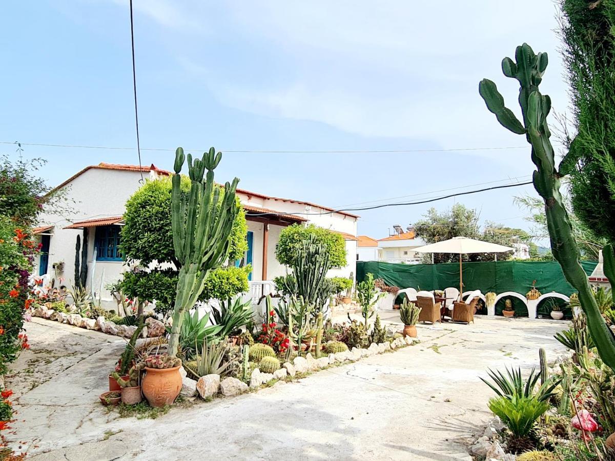 Cactus Living * Ialysos (Rhodes)