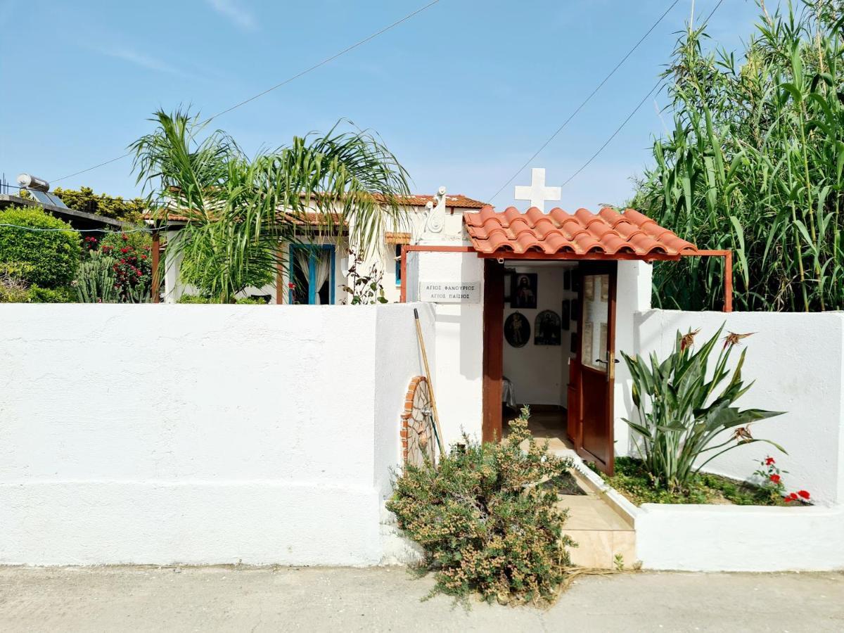Cactus Living Apartment