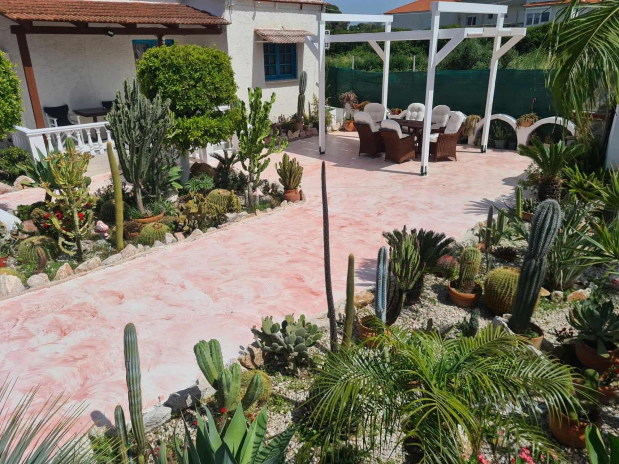 דירה Cactus Living יאליסוס
