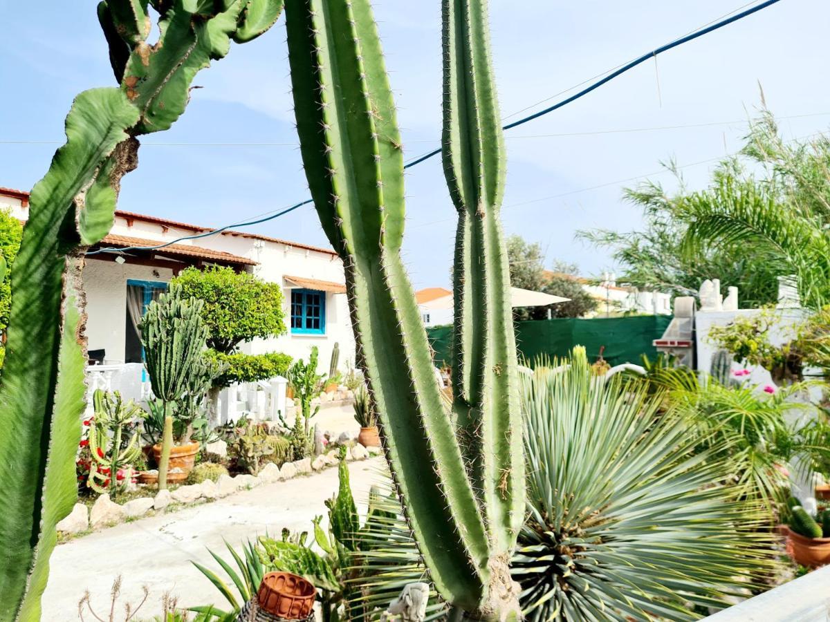 Apartmán Cactus Living
